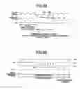 Fig. 06 - DISPLAY DEVICE AND DRIVING METHOD THEREOF