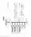 Fig. 52 - Ink supply amount adjustment method and apparatus for printing press