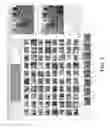 Fig. 03 - Presenting video data