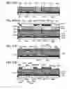 Fig. 28 - Liquid crystal display device, semiconductor device, and electronic appliance