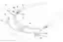 Fig. 01 - Eyeglasses