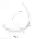 Fig. 06 - Eyeglasses