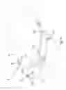 Fig. 07 - Eyeglasses
