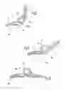 Fig. 04 - STABLE-POSITION SPECTACLE HINGE