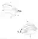 Fig. 06 - STABLE-POSITION SPECTACLE HINGE