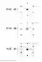 Fig. 04 - Generating method, creating method, exposure method, and storage medium
