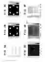 Fig. 06 - Generating method, creating method, exposure method, and storage medium