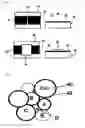 Fig. 02 - ESD PROTECTIVE DEVICE HAVING LOW CAPACITANCE AND STABILITY AND A PREPARING PROCESS THEREOF