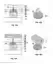 Fig. 09 - Memory cells including resistance variable material patterns of different compositions