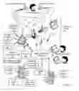Fig. 02 - Multimodal teleconferencing