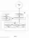 Fig. 08 - Teired key communication system and method in support of controlled vendor message processing