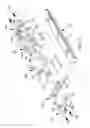 Fig. 08 - Circulating system for a linear guideway