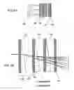 Fig. 07 - Optical wavelength selective router