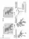 Fig. 75 - Recording medium, playback device, integrated circuit