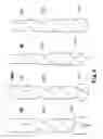 Fig. 09 - Annular Sawing Structure