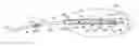 Fig. 01 - Titanium sheath and airfoil assembly