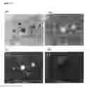 Fig. 06 - AlCa-containing magnesium-based composite material