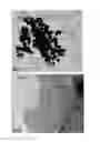 Fig. 04 - METHODS OF FORMING A NANOCRYSTAL
