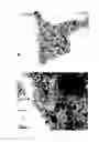 Fig. 07 - METHODS OF FORMING A NANOCRYSTAL