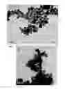 Fig. 08 - METHODS OF FORMING A NANOCRYSTAL