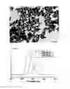 Fig. 09 - METHODS OF FORMING A NANOCRYSTAL