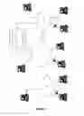 Fig. 06 - ASSAY TO DETECT A GYNECOLOGICAL CONDITION