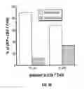 Fig. 08 - IMAGEABLE RODENT MODEL OF ASTHMA
