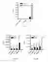 Fig. 02 - RNA Vaccines