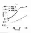 Fig. 06 - Methods and compositions for treating cancer