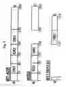 Fig. 08 - Use of adenovirus and nucleic acids coding therefor