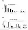 Fig. 09 - Use of modified cells for the treatment of multiple sclerosis