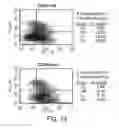 Fig. 02 - Expansion Of Renewable Stem Cell Populations
