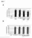 Fig. 06 - Inducible gene expression