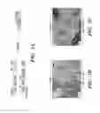 Fig. 02 - METHODS FOR THE INDUCTION OF A CELL TO ENTER THE ISLET 1+ LINEAGE AND A METHOD FOR THE EXPANSION THEREOF