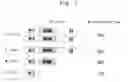 Fig. 02 - TYPE A2 BOTULINUM TOXIN PREPARATION