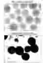 Fig. 01 - CULTURED THREE-DIMENSIONAL TISSUES AND USES THEREOF