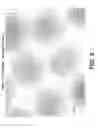 Fig. 04 - CULTURED THREE-DIMENSIONAL TISSUES AND USES THEREOF