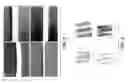 Fig. 07 - CULTURED THREE-DIMENSIONAL TISSUES AND USES THEREOF