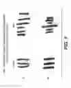 Fig. 09 - CULTURED THREE-DIMENSIONAL TISSUES AND USES THEREOF
