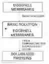 Fig. 01 - Solubilized protein composition obtained from avian eggshell membrane