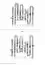Fig. 02 - Antibody against anthrax toxins