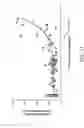 Fig. 12 - Combination therapy with a compound acting as a platelet ADP receptor inhibitor
