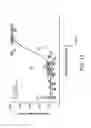 Fig. 14 - Combination therapy with a compound acting as a platelet ADP receptor inhibitor