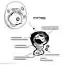 Fig. 01 - ANTI-ErbB2 ANTIBODIES