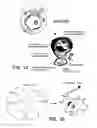 Fig. 02 - ANTI-ErbB2 ANTIBODIES
