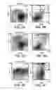 Fig. 06 - ANTI-ErbB2 ANTIBODIES