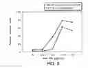 Fig. 07 - ANTI-ErbB2 ANTIBODIES