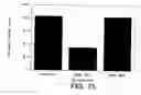 Fig. 20 - ANTI-ErbB2 ANTIBODIES