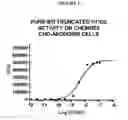 Fig. 22 - Methods of making an antibody that binds a chemerin polypeptide