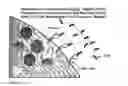 Fig. 08 - Use of beta-glucans against biological warfare weapons and pathogens including anthrax